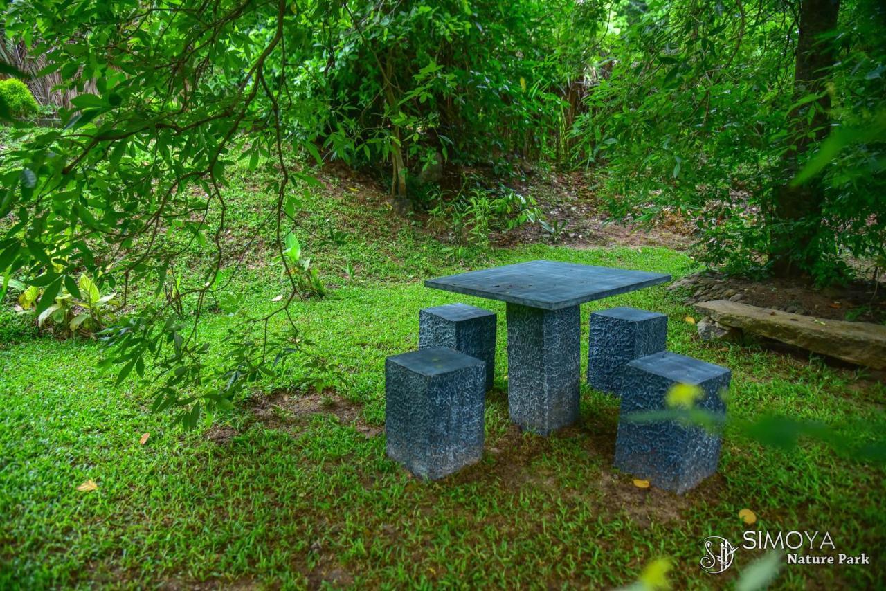 Simoya Nature Park Dambulla Esterno foto