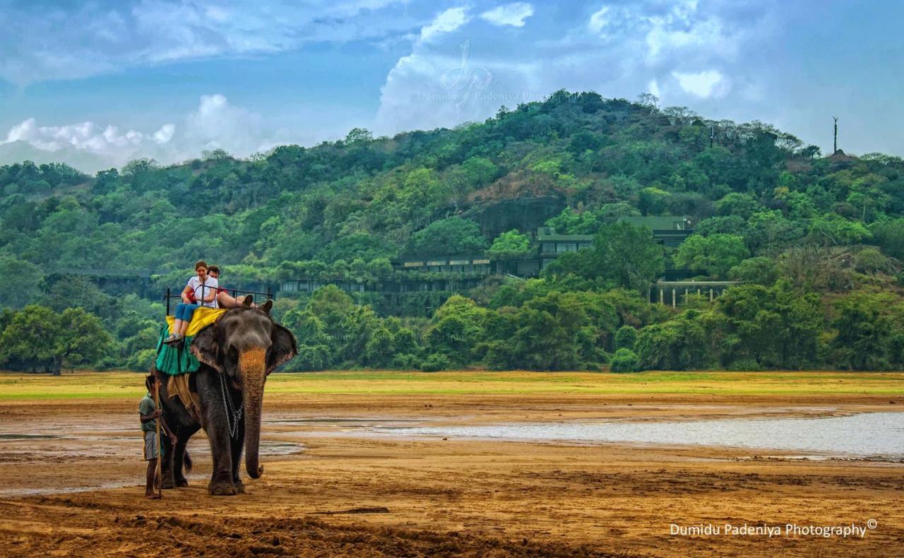 Simoya Nature Park Dambulla Esterno foto